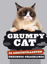 Grumpy cat