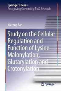 Study on the Cellular Regulation and Function of Lysine Malonylation, Glutarylation and Crotonylation