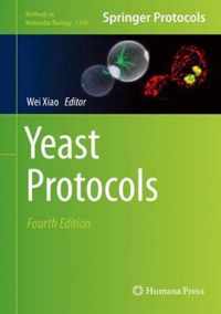 Yeast Protocols