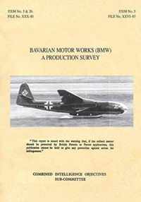 Bavarian Motor Works (Bmw): A Production Survey