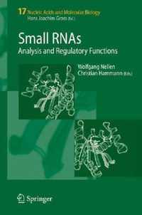 Small RNAs: