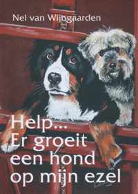 Help! Er Groeit Een Hond Op Mijn Ezel