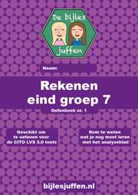 Oefenboek CITO rekenen - eind groep 7 - deel 1 - basisonderwijs - de bijlesjuffen - oefenen - citotoets - LVS - kinderen - boeken - leren - school - werkboek - Einstein - meer dan 100 opdrachten!