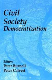 Civil Society in Democratization