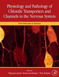 Physiology and Pathology of Chloride Transporters and Channels in the Nervous System