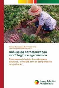 Analise da caracterizacao morfologica e agronomica