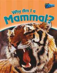 Why am I a Mammal?