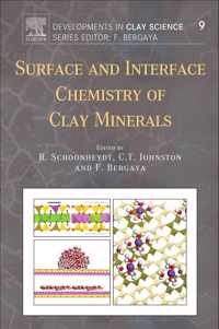 Surface and Interface Chemistry of Clay Minerals