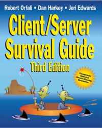 Client/Server Survival Guide