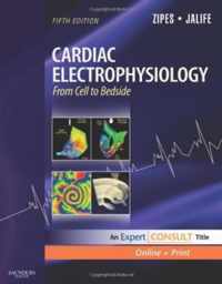 Cardiac Electrophysiology: From Cell to Bedside