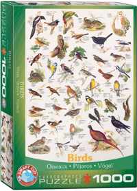 Birds (1000 Stukjes)