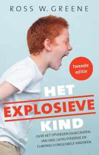 Het explosieve kind