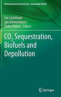 CO2 Sequestration, Biofuels and Depollution