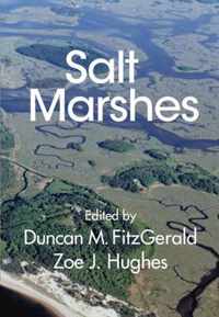 Salt Marshes