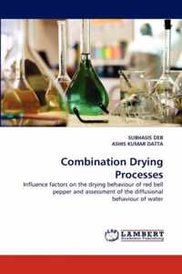 Combination Drying Processes