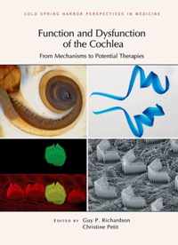 Function and Dysfunction of the Cochlea