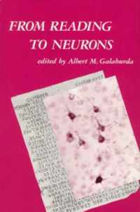 From Reading to Neurons