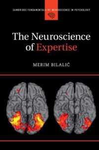 Neuroscience of Expertise