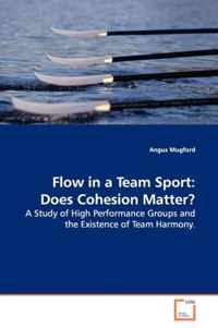 Flow in a Team Sport