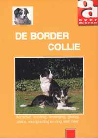 Over Dieren 070 -   De Border Collie