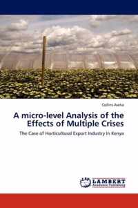 A Micro-Level Analysis of the Effects of Multiple Crises