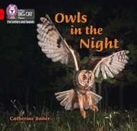 Collins Big Cat Phonics for Letters and Sounds - Owls in the Night