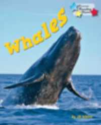 Whales