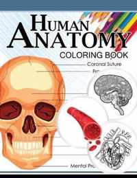 Human Anatomy Coloring Book