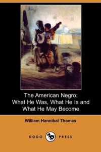 The American Negro