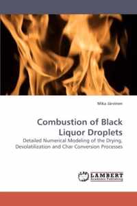 Combustion of Black Liquor Droplets