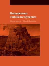 Homogeneous Turbulence Dynamics