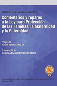 Comentarios y reparos a la Ley para Proteccion de las Familias, la Maternidad y la Paternidad