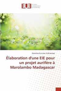 Elaboration d'une EIE pour un projet aurifere a Marolambo Madagascar