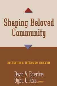 Shaping Beloved Community