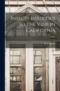 Insects Injurious to the Vine in California; B192