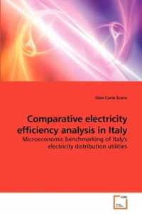 Comparative electricity efficiency analysis in Italy