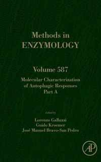 Molecular Characterization of Autophagic Responses Part A