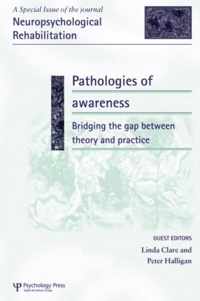 Pathologies of Awareness: Bridging the Gap Between Theory and Practice: A Special Issue of Neuropsychological Rehabilitation