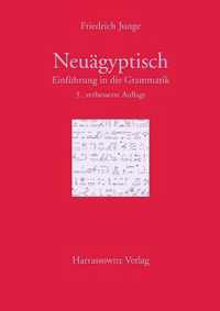 Einfuhrung in Die Grammatik Des Neuagyptischen