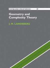 Geometry and Complexity Theory