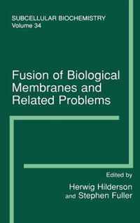 Fusion of Biological Membranes and Related Problems