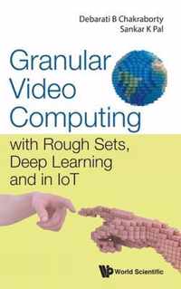 Granular Video Computing