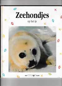 Zeehondjes op het ijs