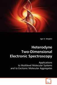Heterodyne Two-Dimensional Electronic Spectroscopy