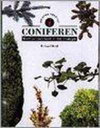 Coniferen