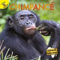 Chimpance