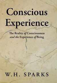 Conscious Experience