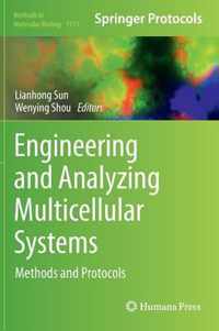 Engineering and Analyzing Multicellular Systems