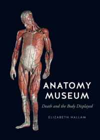 Anatomy Museum