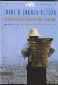 China's Energy Future